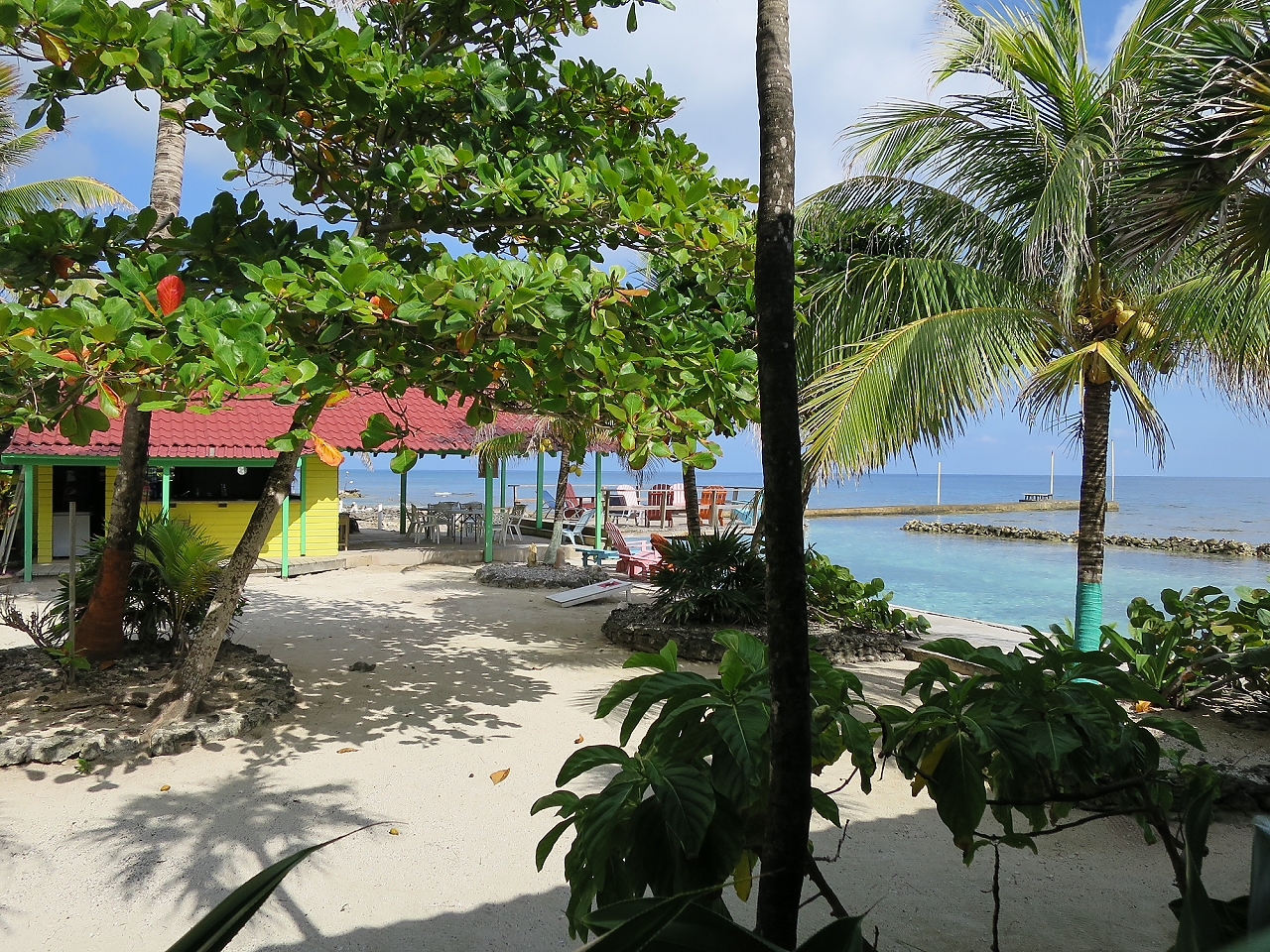 Roatan 2015-b 041.jpg